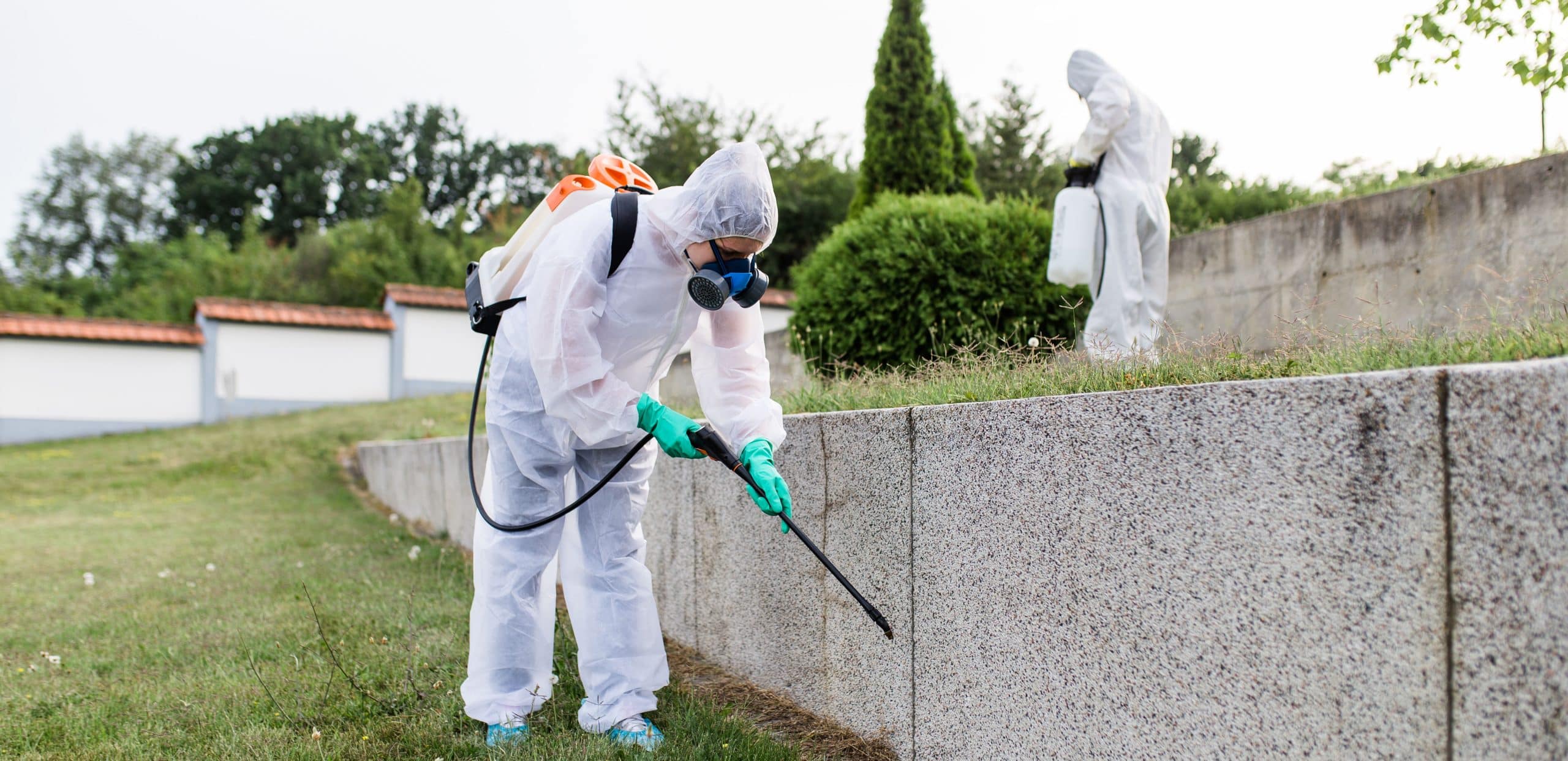 Strata pest control service